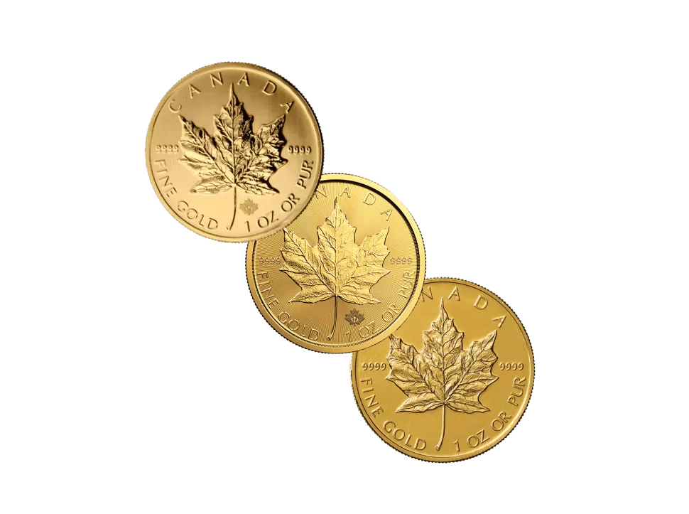 1 oz Gold Maple Leaf various vintages