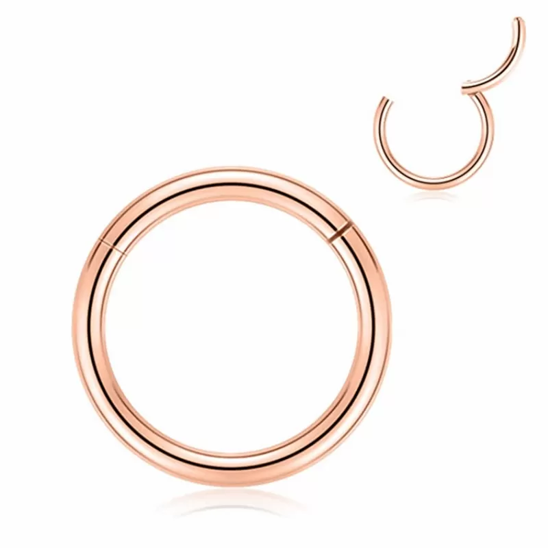 16 Gauge Hinged Segment Hoop Rings Bundle - Rose Gold