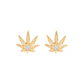 Gold "Sweet Sativa" Stud Earrings